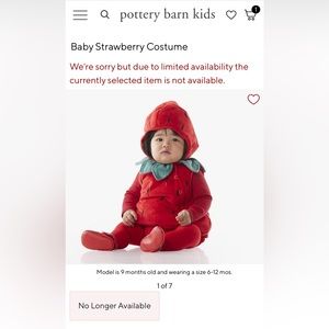 Pottery Barn Strawberry Halloween Costume 6-12 months